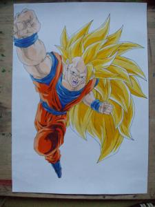 gokussj3rajz1.jpg