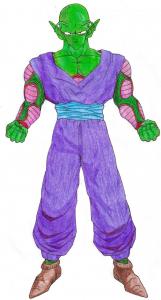piccolorajzk.jpg