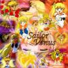 Kattints a megnyitáshoz sailorvenus41_t1.jpg