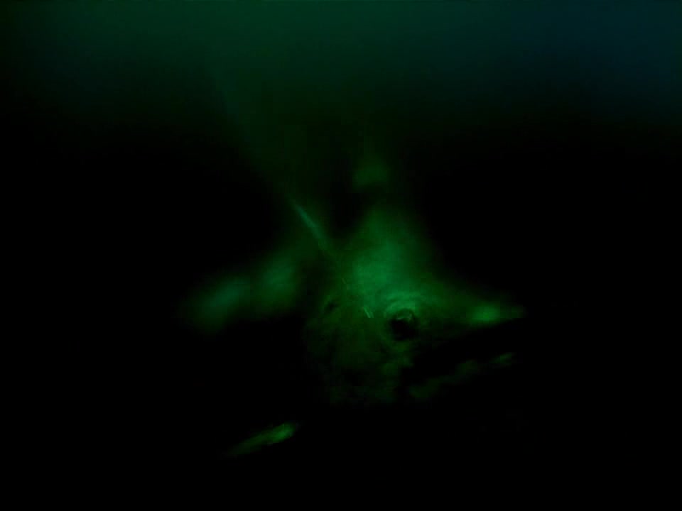 Jelenetkép - Az öreg halász és a tenger - 00:20:47